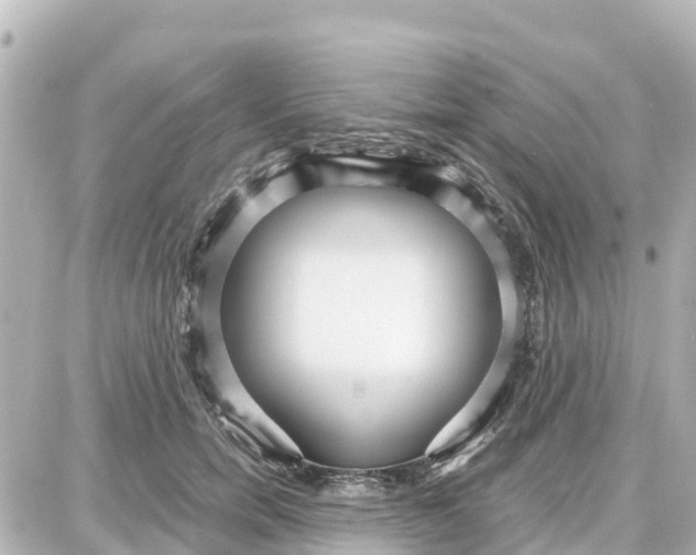 X0000087690750200705251708