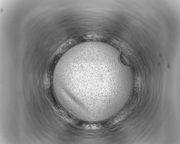 X0000087690751200705251708