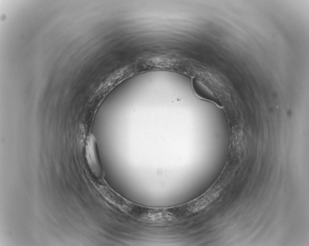 X0000087690752200705251708