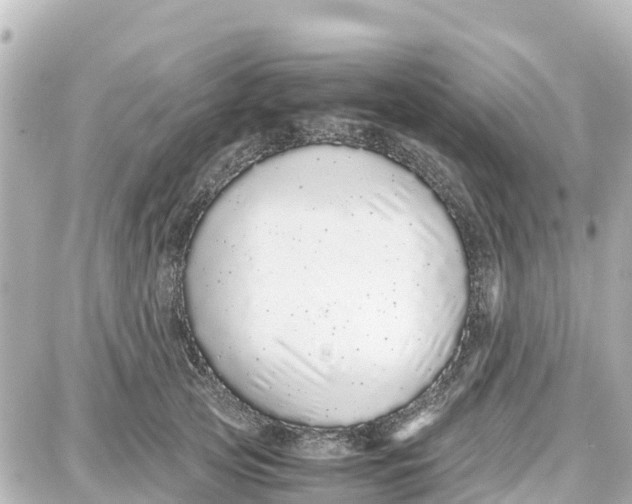 X0000087690753200705251708