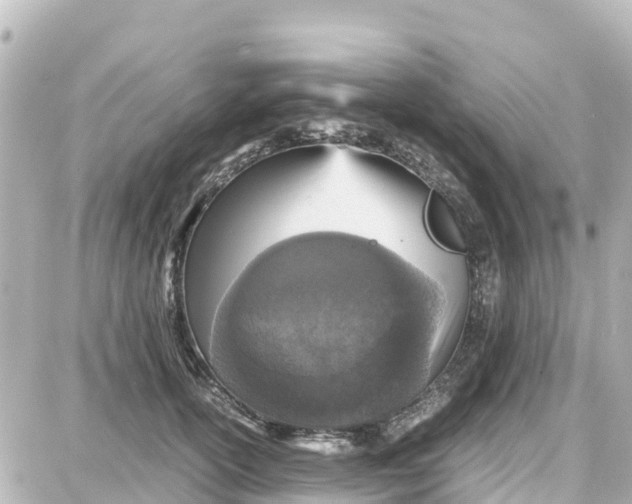 X0000087690754200705251708