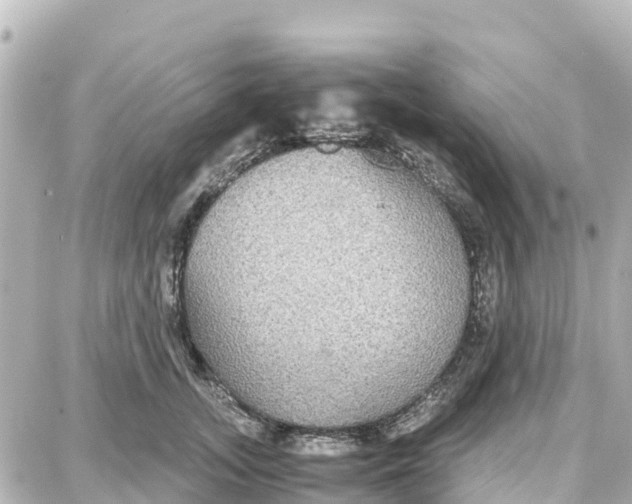 X0000087690755200705251708