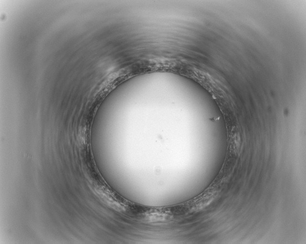 X0000087690756200705251708