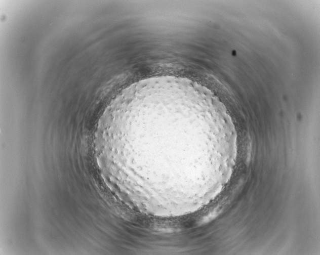 X0000087690757200705251708