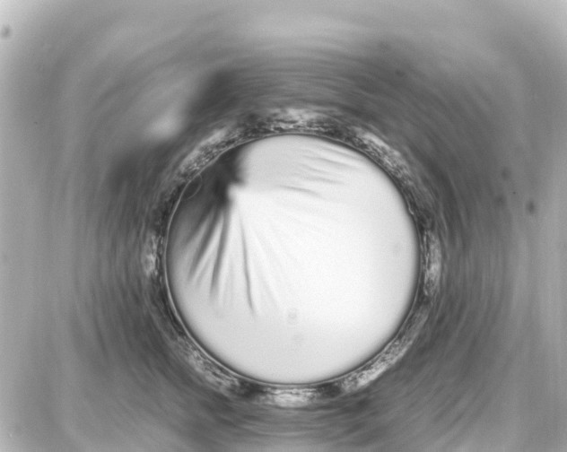 X0000087690758200705251708