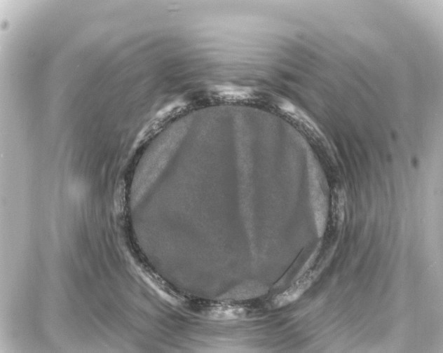 X0000087690760200705251708