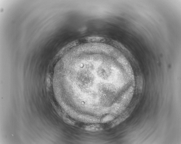 X0000087690761200705251708