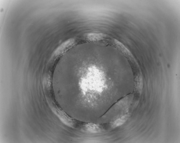 X0000087690762200705251708