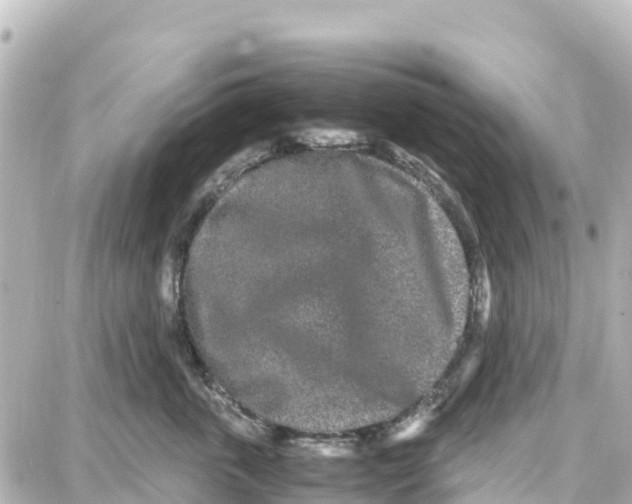 X0000087690763200705251708