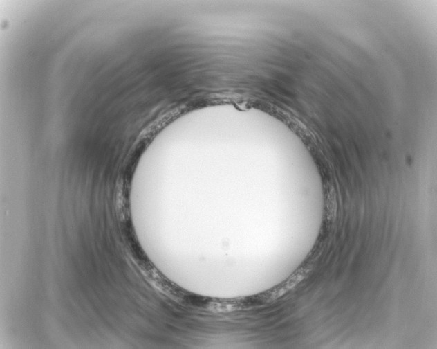 X0000087690764200705251708