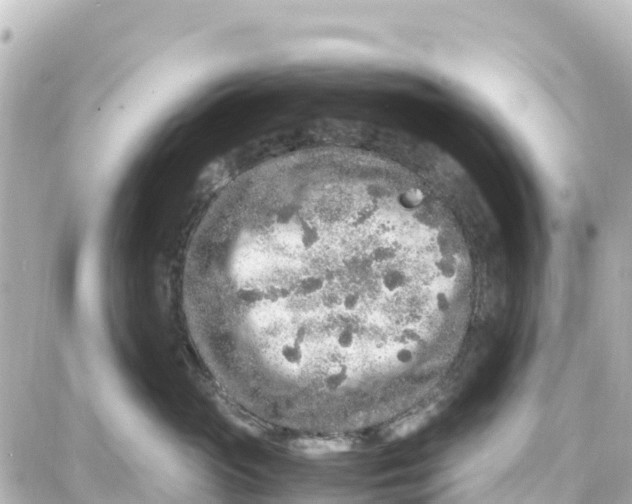 X0000087690765200705251708