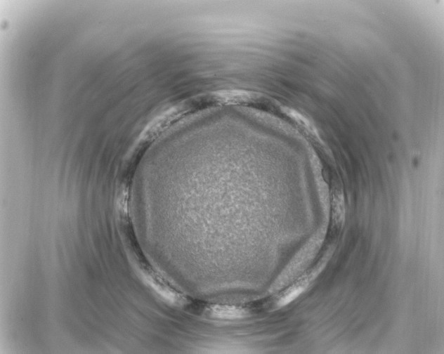 X0000087690766200705251708