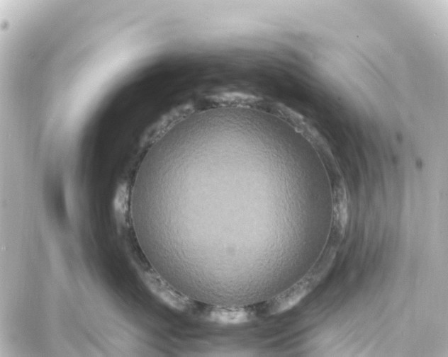 X0000087690767200705251708