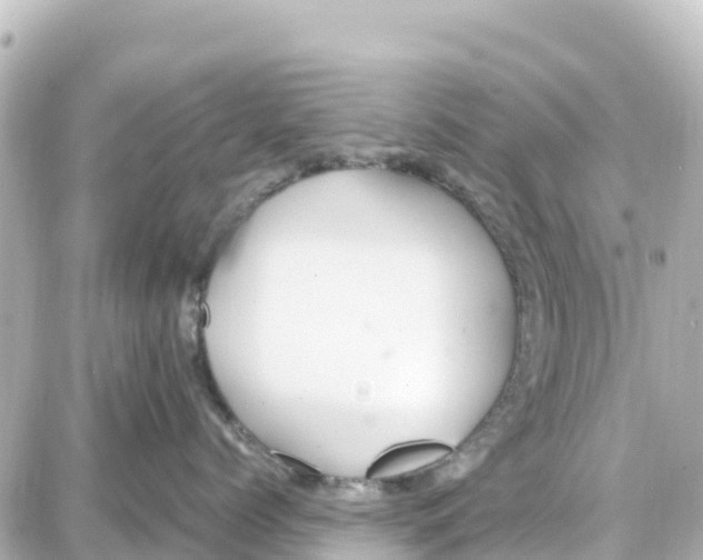 X0000087690768200705251708