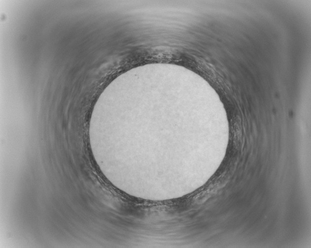 X0000087690769200705251708