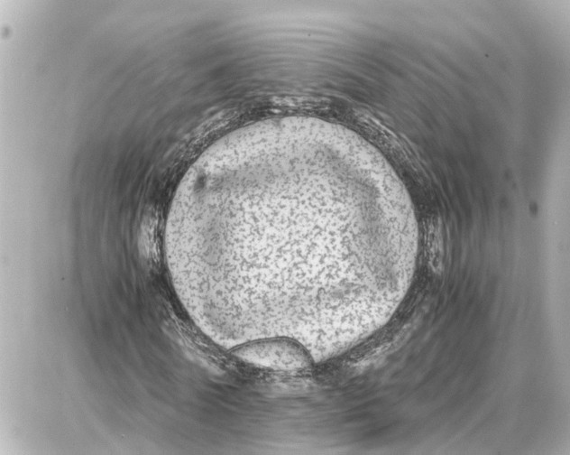 X0000087690770200705251708