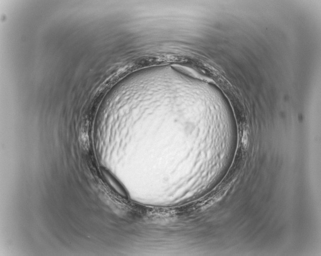 X0000087690771200705251708