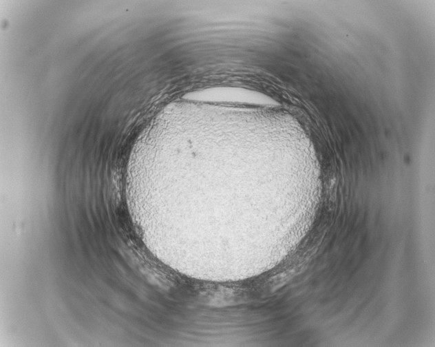 X0000087690772200705251708