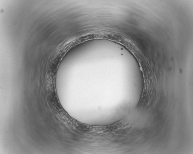 X0000087690773200705251708