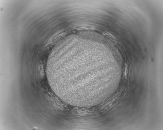 X0000087690774200705251708