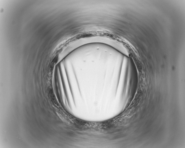 X0000087690775200705251708