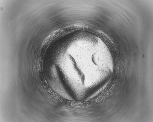 X0000087690776200705251708