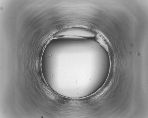 X0000087690777200705251708