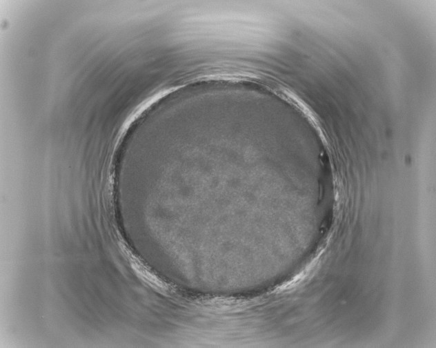 X0000087690779200705251707