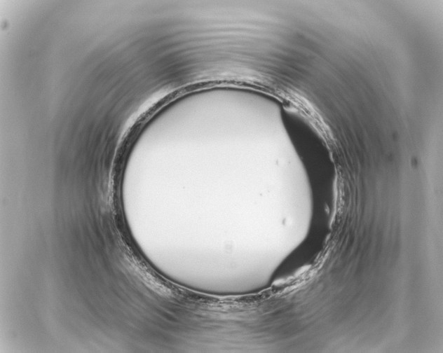 X0000087690780200705251707