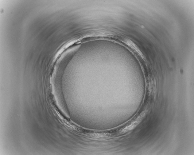 X0000087690781200705251707