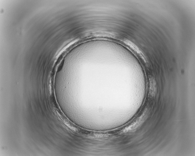 X0000087690782200705251707