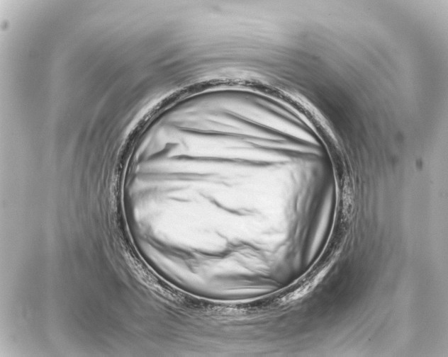 X0000087690783200705251707