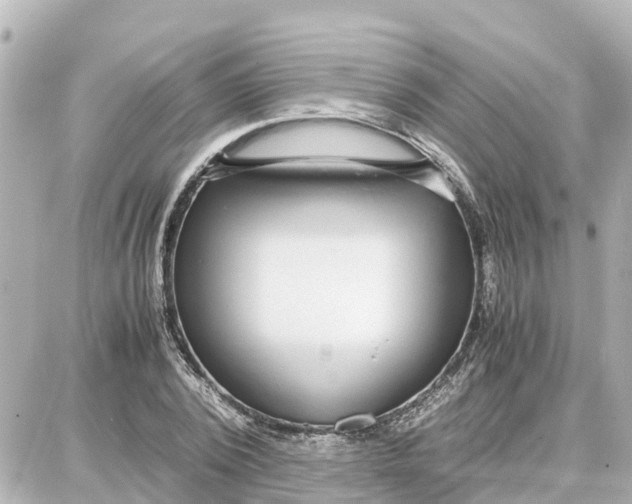 X0000087690784200705251707