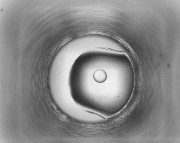 X0000087690785200705251707