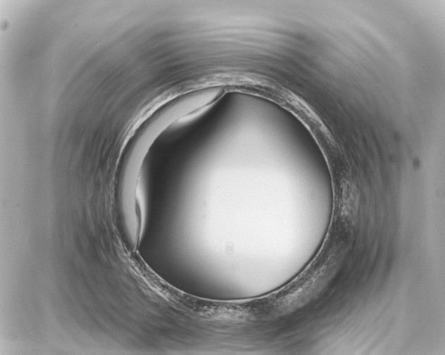 X0000087690786200705251707