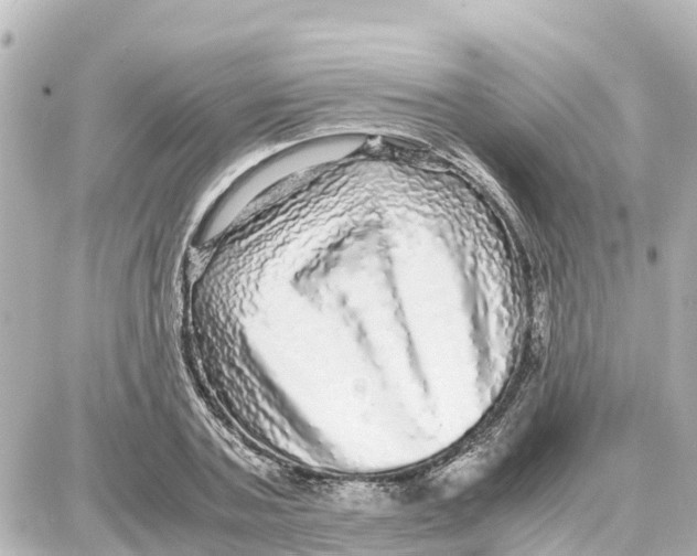 X0000087690787200705251707