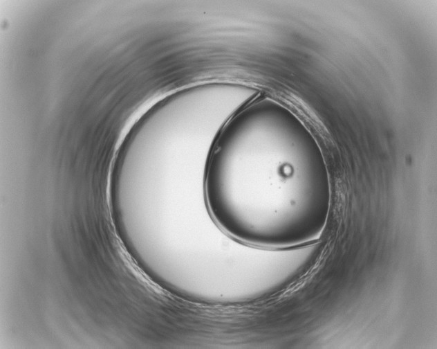 X0000087690788200705251707