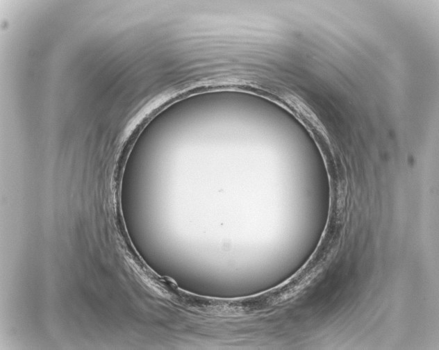 X0000087690789200705251707