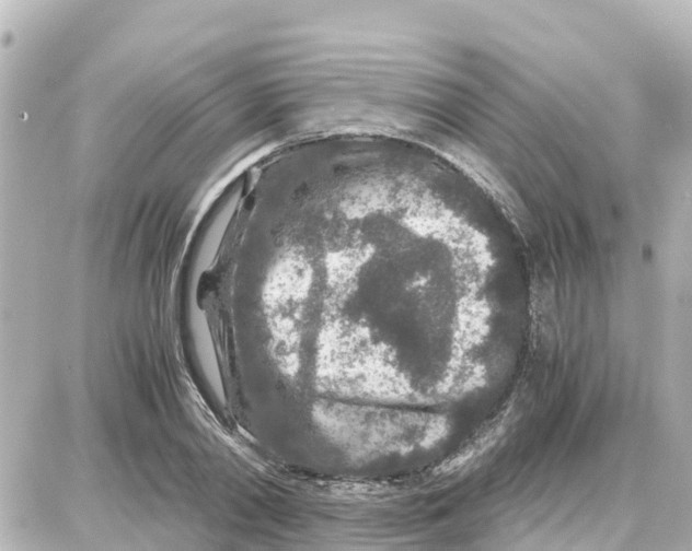 X0000087690790200705251707