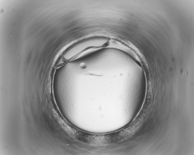 X0000087690791200705251707