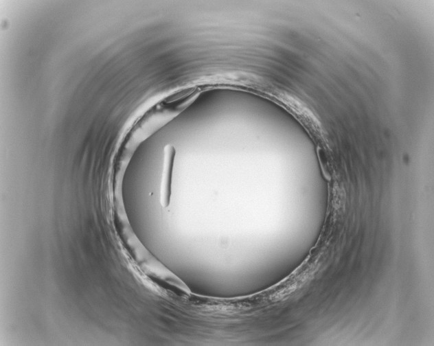 X0000087690792200705251707