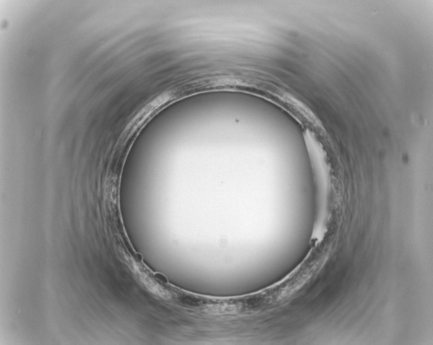 X0000087690793200705251707