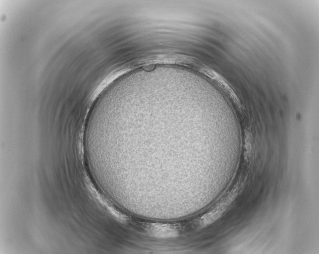 X0000087690794200705251707