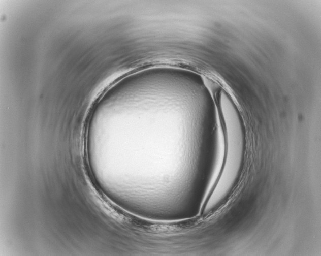 X0000087690795200705251707