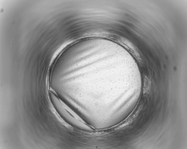 X0000087690796200705251707