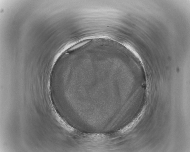 X0000087690797200705251707