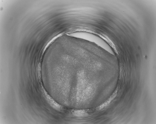 X0000087690798200705251707