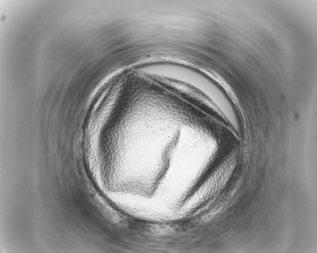 X0000087690799200705251707