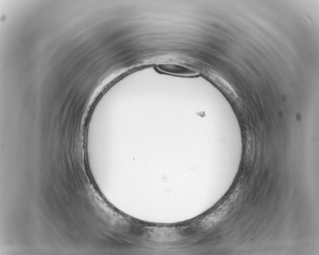 X0000087690800200705251707