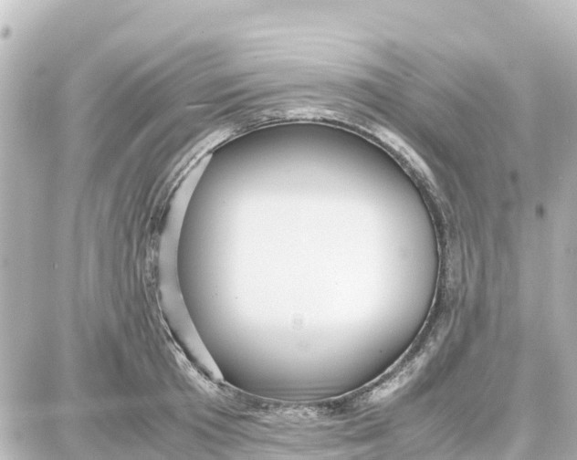 X0000087690801200705251707